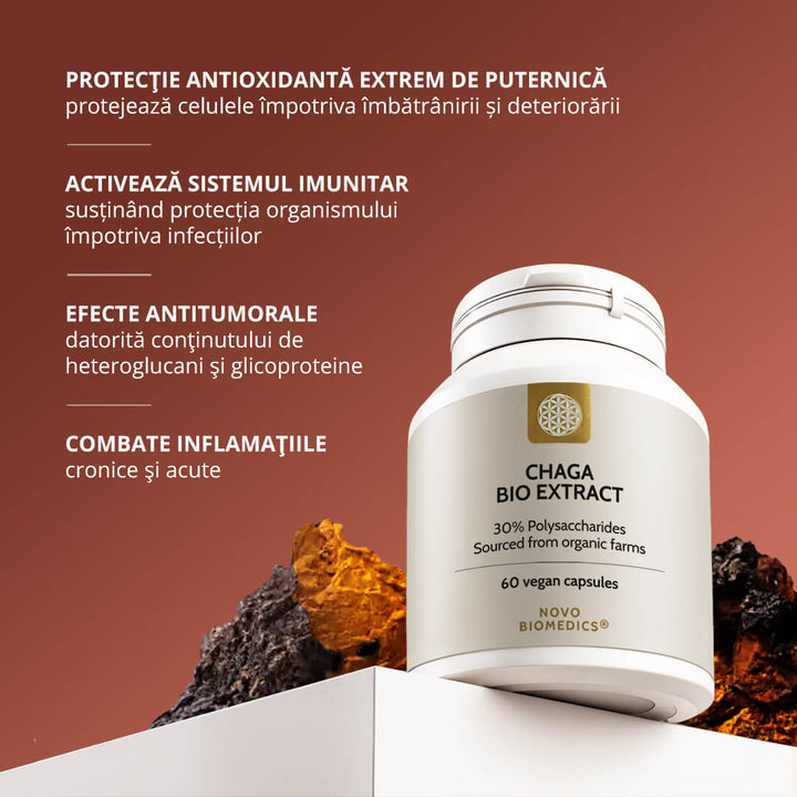 Chaga Bio Extract – imagine informativă despre beneficiile extractului de Chaga (Inonotus obliquus)