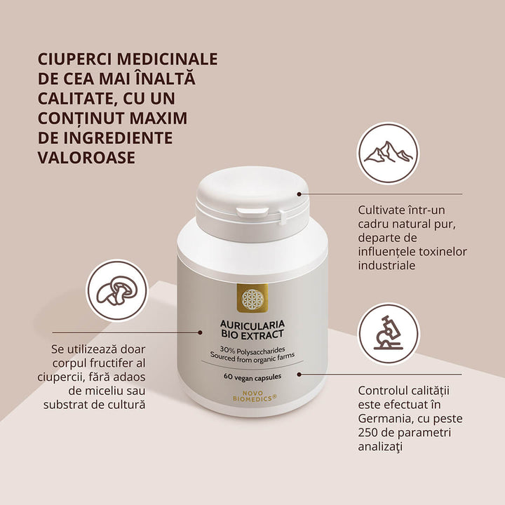Auricularia Bio Extract – detalii despre calitatea ingredientelor și procesul de producție